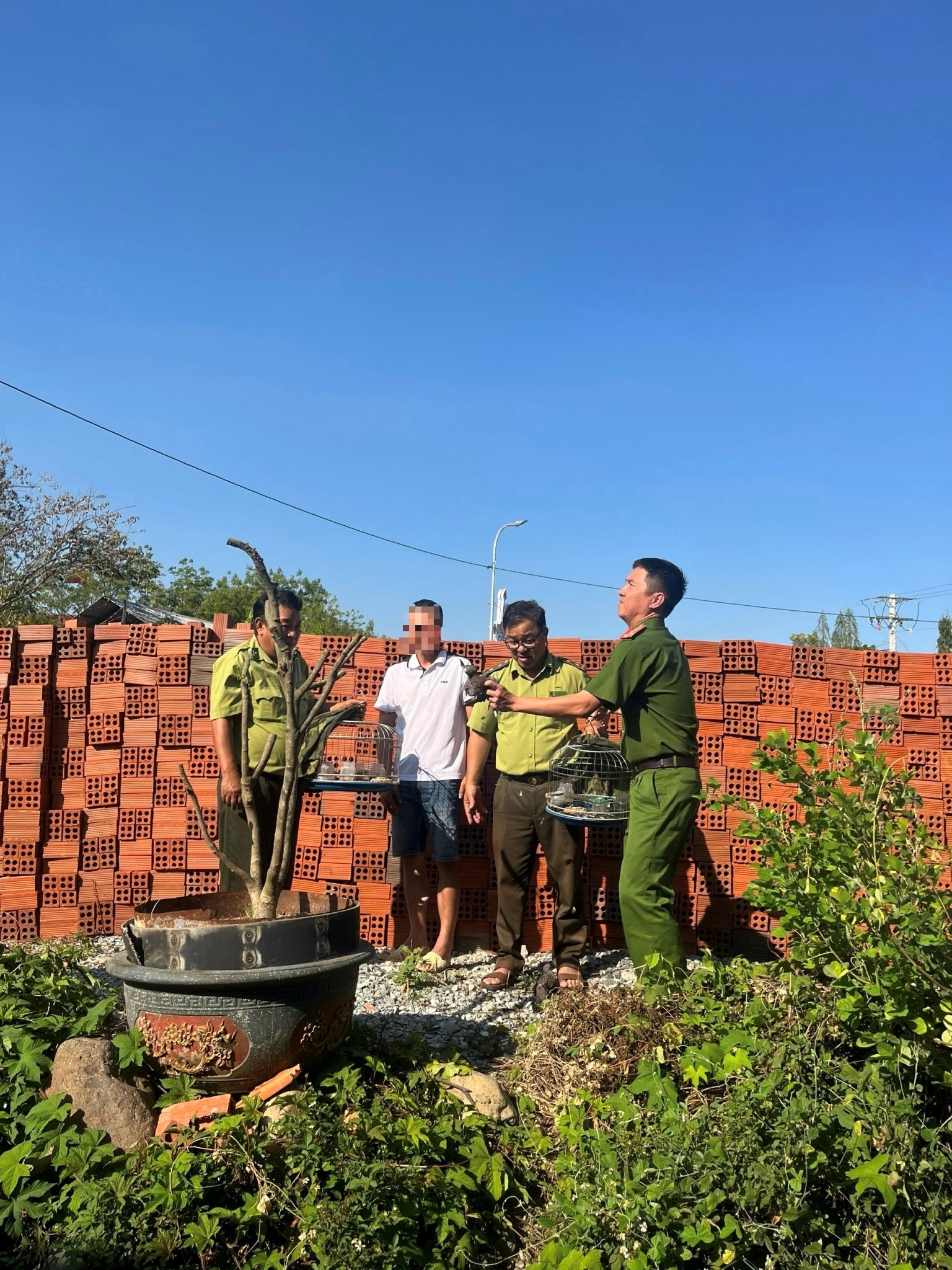 Nhân dân xã Anh Dũng gương mẫu chấp hành các quy định pháp luật về bảo vệ động vật hoang dã