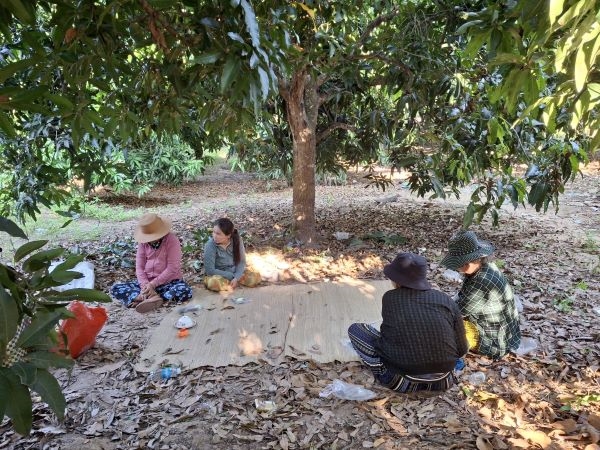 Triệt xóa điểm đánh bạc dưới hình thức “xóc đĩa” tại xã Cam Hiệp