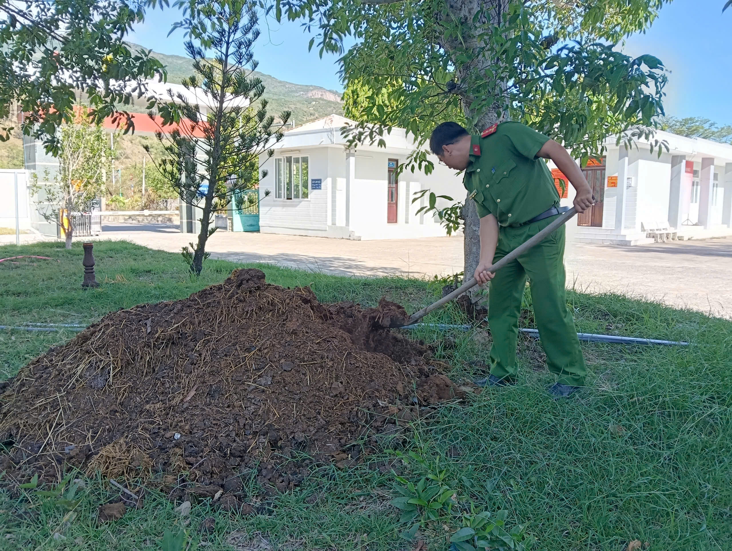 Tuổi trẻ Công an xã Thuận Bắc hưởng ứng “Ngày Chủ nhật xanh” đồng loạt toàn quốc lần thứ II, năm 2026