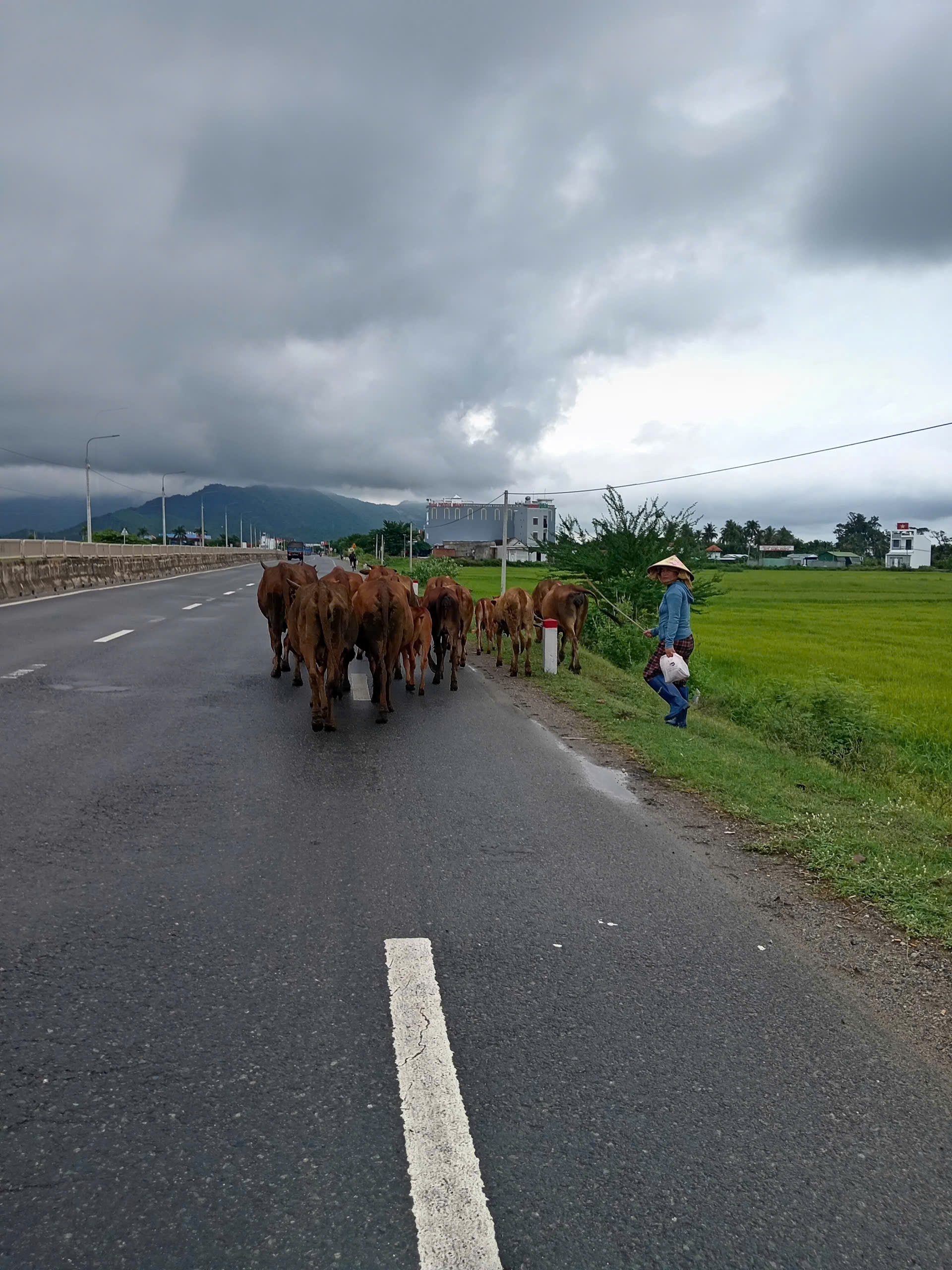 Công an xã Tu Bông tăng cường tuyên truyền, nhắc nhở người dân không chăn thả gia súc trên Quốc lộ