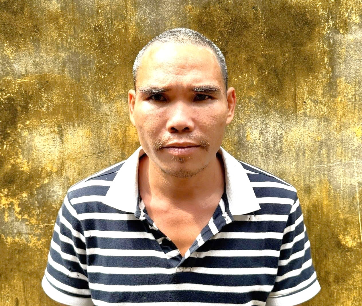 Truy bắt thành công đối tượng truy nã trốn thi hành án