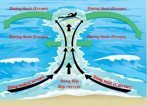 Cảnh báo nguy hiểm từ “dòng chảy xa bờ” khi tắm biển