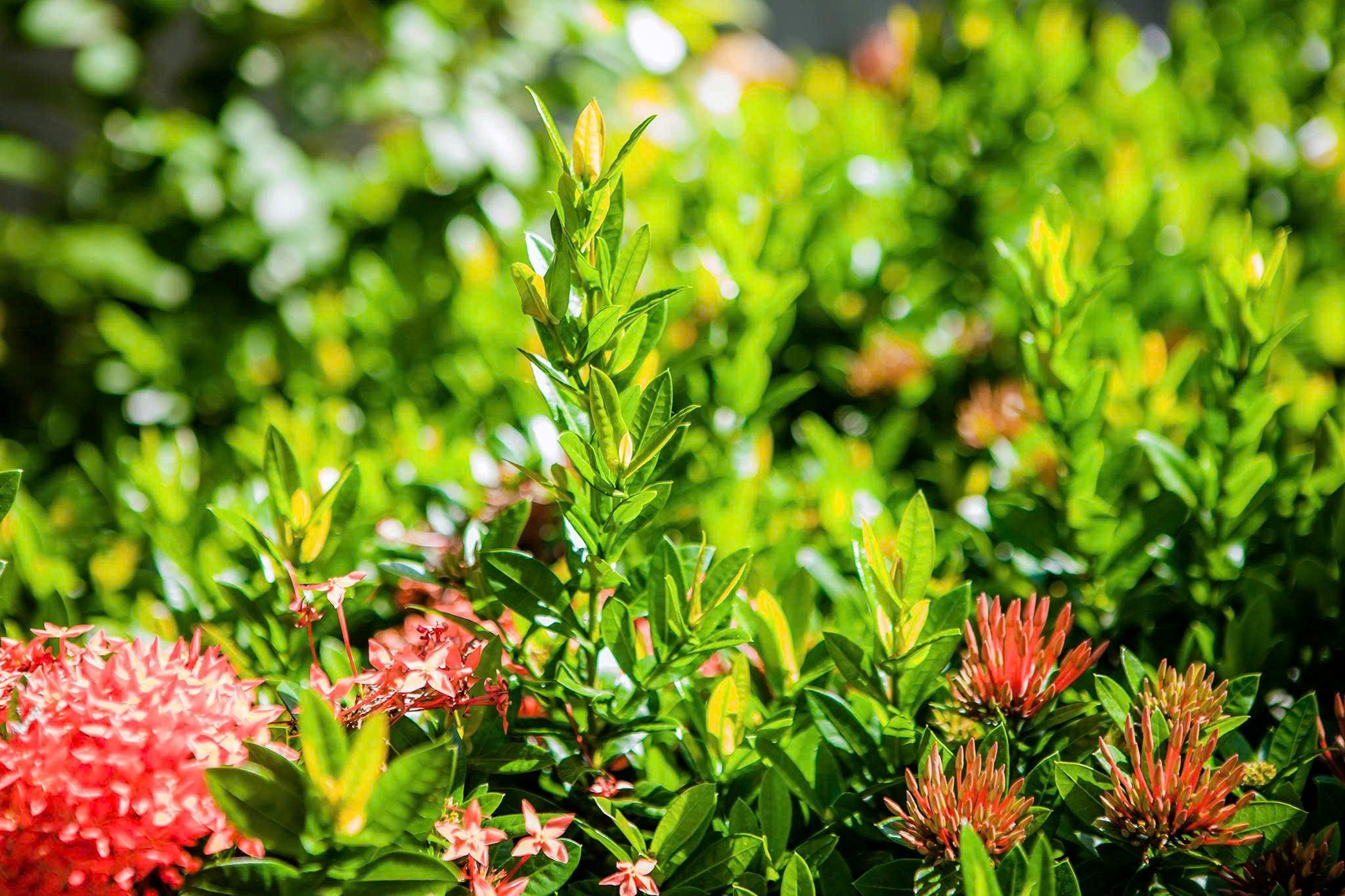 Sôi nổi chương trình “Ngày Chủ nhật xanh” của Đoàn Thanh niên, Hội Phụ nữ Phòng Hậu cần