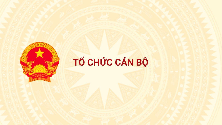 TỔ CHỨC CÁN BỘ