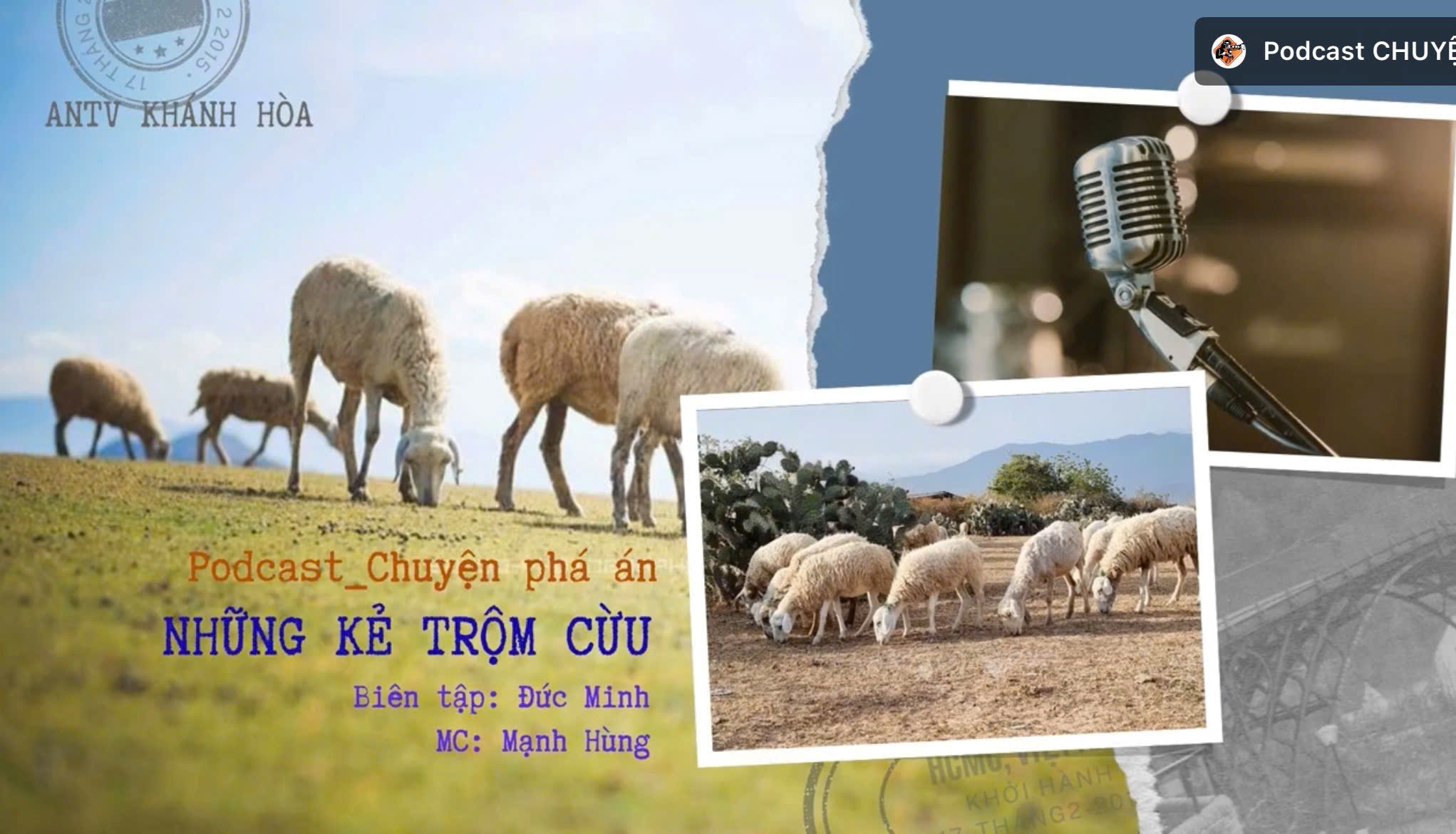 Chuyện phá án: NHỮNG KẺ TRỘM CỪU