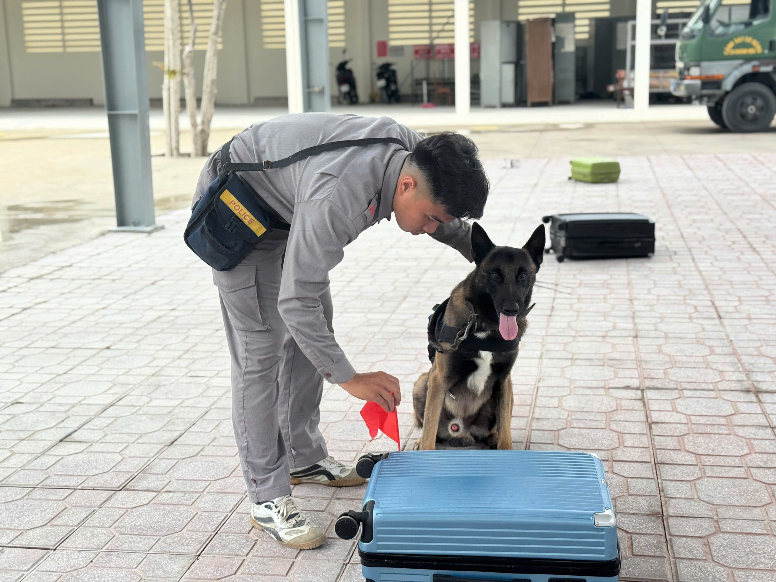 Buổi huấn luyện nâng cao của động vật nghiệp vụ  – Phòng Cảnh sát cơ động