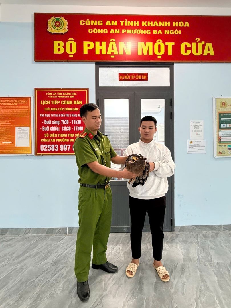 Công an phường Ba Ngòi, tỉnh Khánh Hòa đã thực hiện tiếp nhận một cá thể động vật hoang dã quý hiếm từ một công dân gương mẫu trên địa bàn tự nguyện đến bàn giao để cứu hộ và trả về tự nhiên.