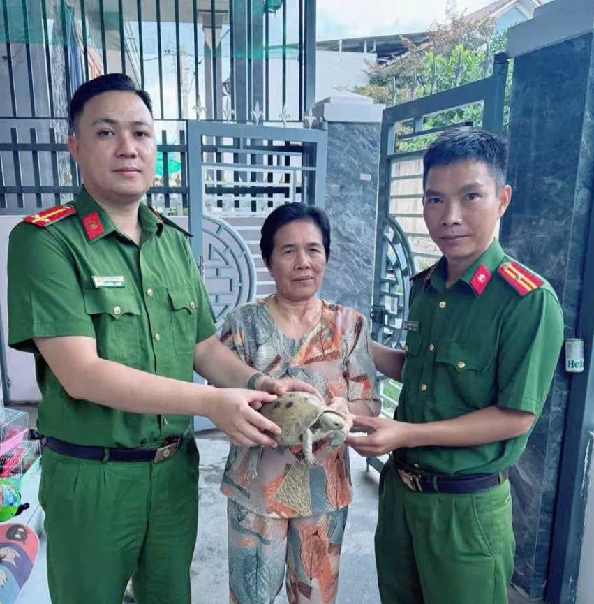 Công an phường Ninh Chử tiếp nhận cá thể rùa núi vàng của bà Lê Thị Hồng Nhanh