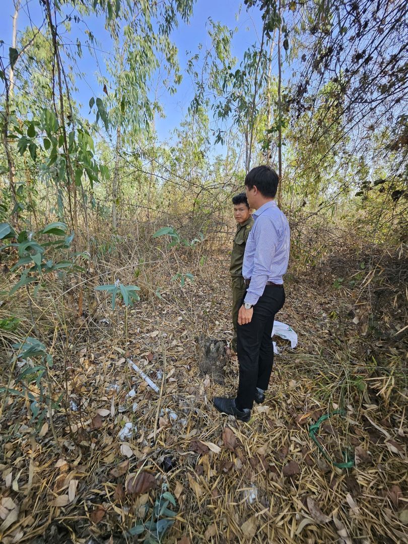 UBND xã Hòa Trí tiến hành thả cá thể động vật về rừng