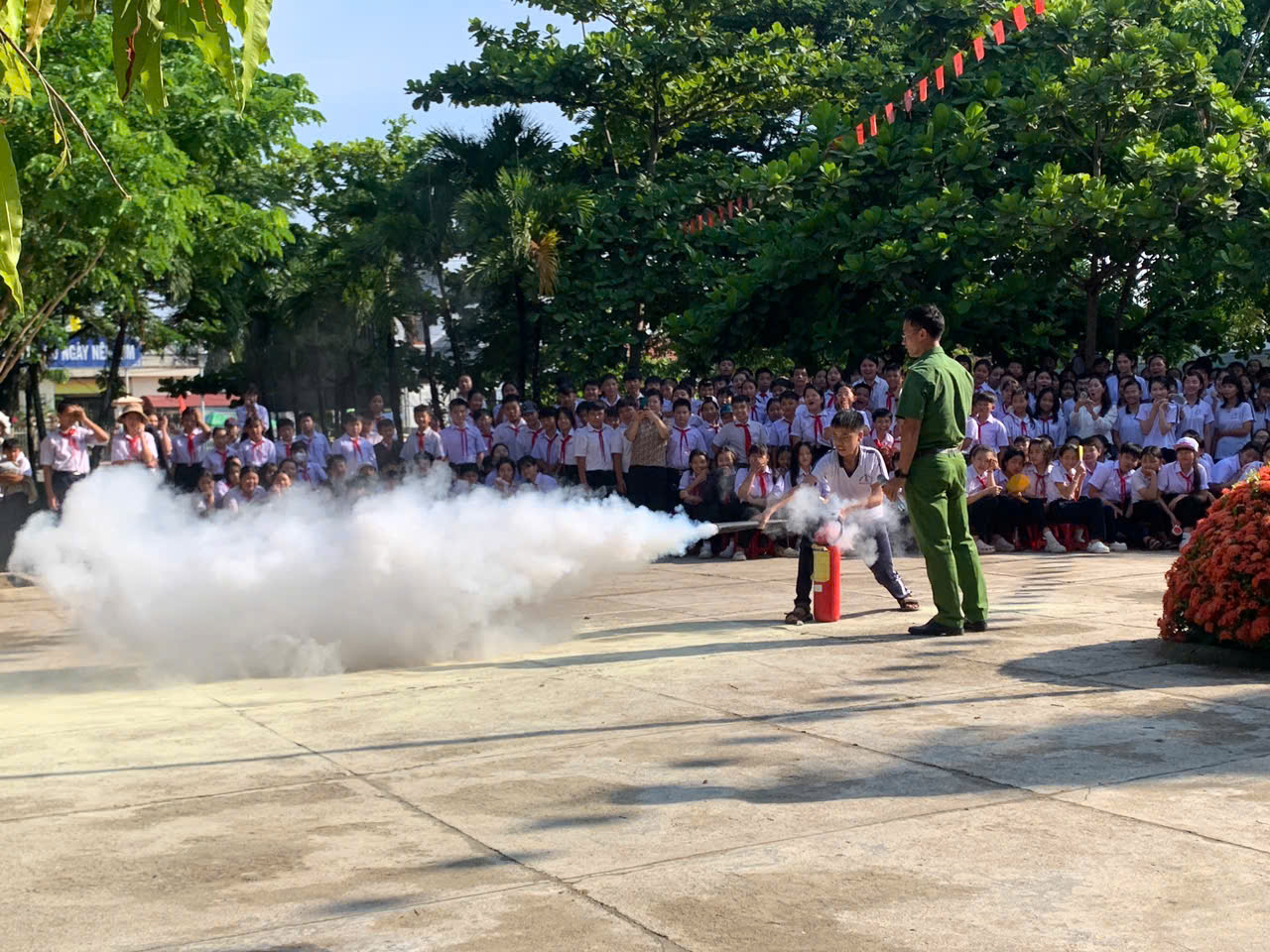 hình ảnh 2